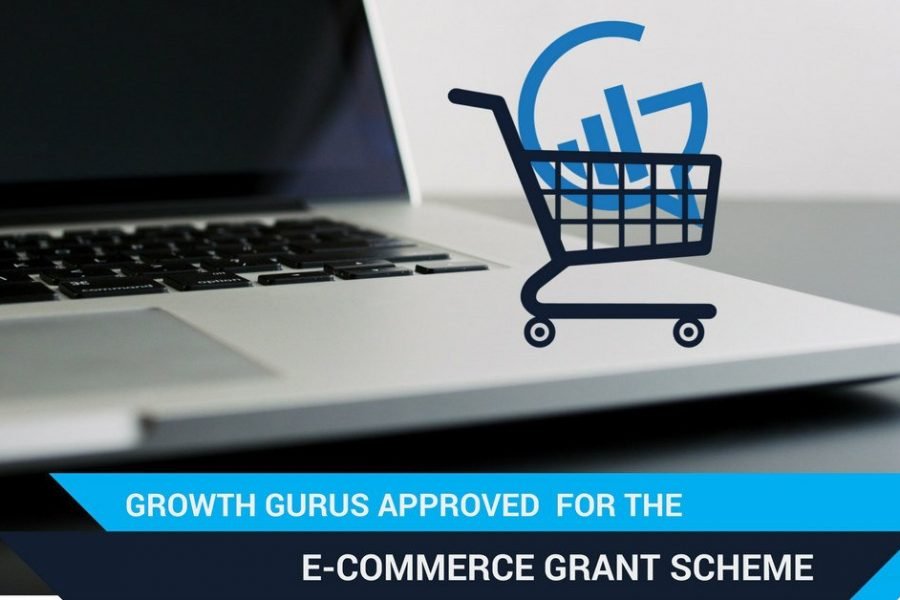 Growth Gurus Digital Marketing Growth Gurus approved for the E commerce Grant Scheme
